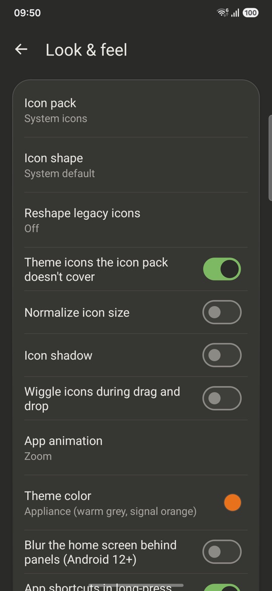 Look and feel settings with toggles and the theme colour